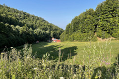 IMG_0600