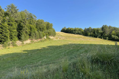 IMG_0605