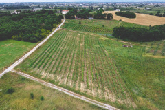 DCIM\100MEDIA\DJI_0111.JPG