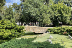 IMG_0747