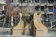 IMG_0061